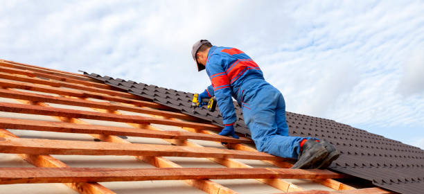 Best Roof Coating and Sealing  in Balfour, NC